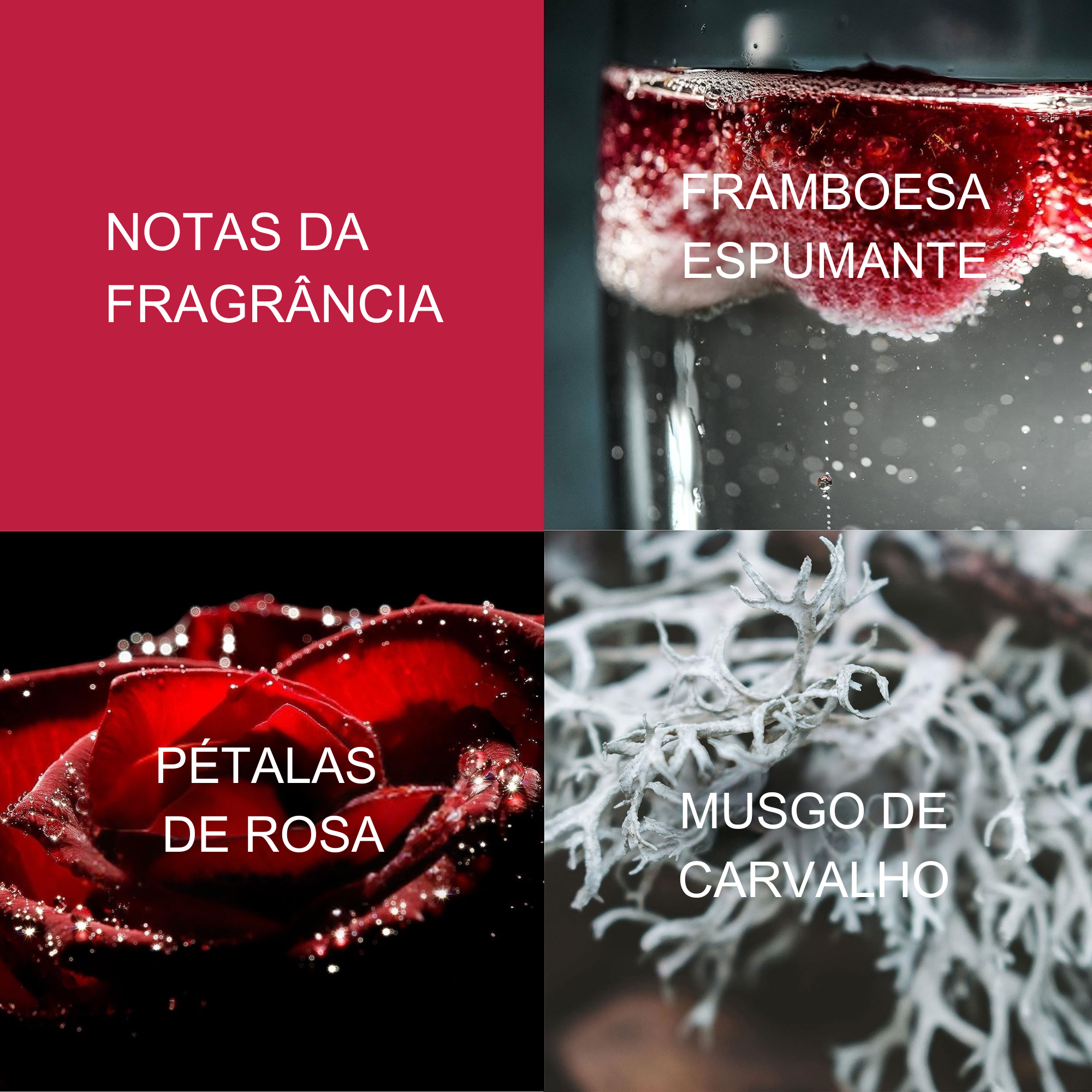 719346265270 (3)