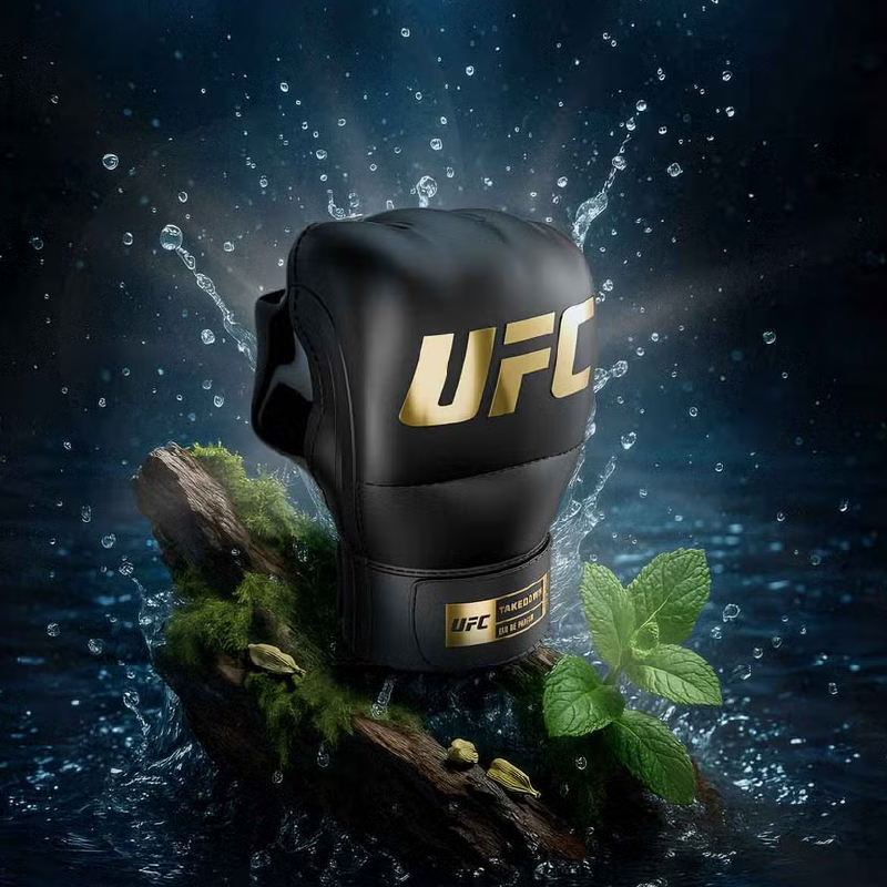 UFC_Takedown_Conceito